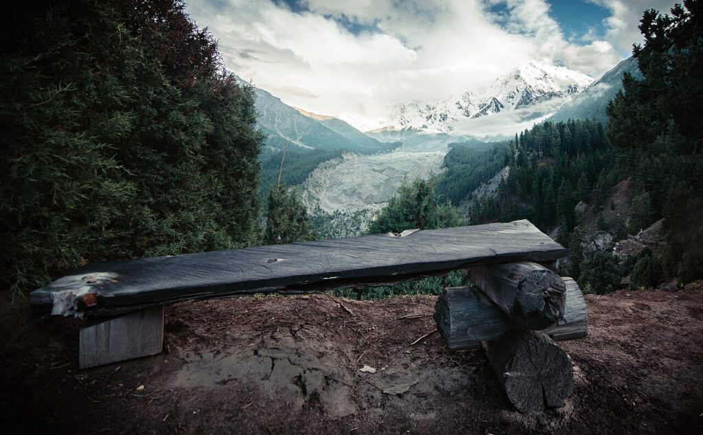 Nanga Parbat rising above Fairy Meadows in Gilgit-Baltistan
